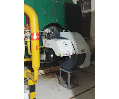 道森DS900EFGR十吨蒸汽锅炉低氮燃烧器